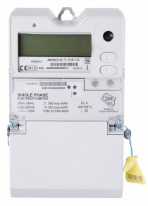 ZPA Smart Energy: Smart Meters